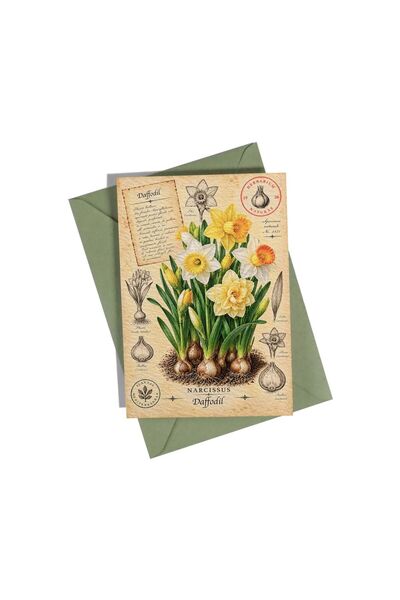 OEM Felicitare botanică cu narcise – Colecția Bulbi de Primăvară