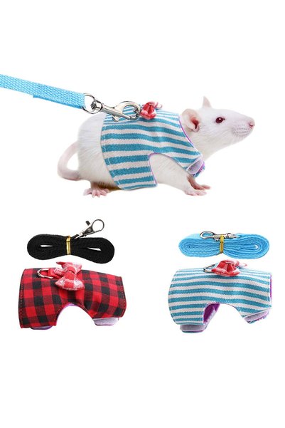 Noonedibs Curea de piept cu frânghie de tracțiune pentru animale mici, cu gri...