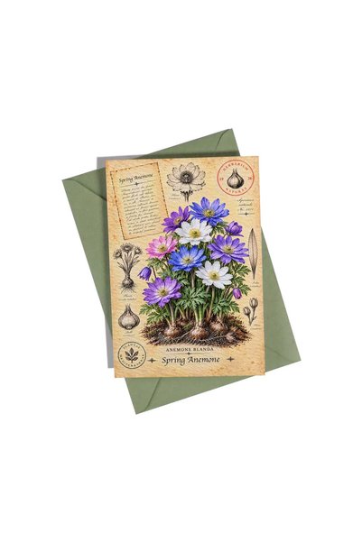 OEM Felicitare botanică cu Anemonă de primăvară – Colecția Bulbi de Primăvară