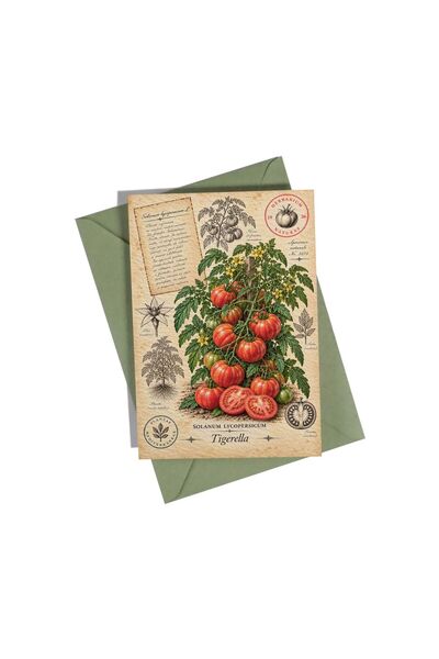 OEM Felicitare Botanică cu Roșii Tigerella – Colecția de Roșii