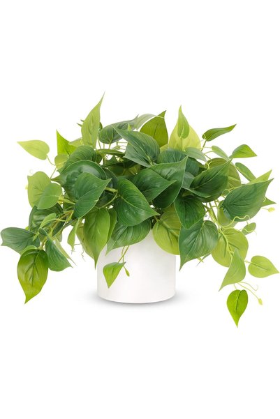 Generic نباتات اصطناعية، نباتات بوثوس مزيفة صغيرة للديكور الداخلي، خضرة واقعي...