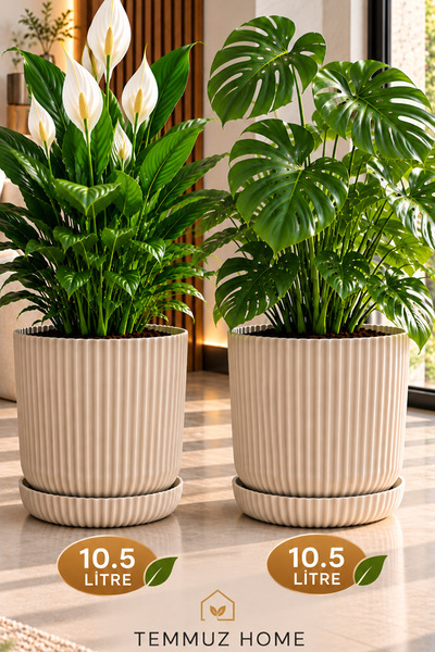 TEMMUZ HOME 2 Adet 10,5 Litre Tabaklı Lotus Dekoratif Çizgili Saksı – Modern Tasarım İç ve Dış Mekân Çiçek ve Bitki Saksısı