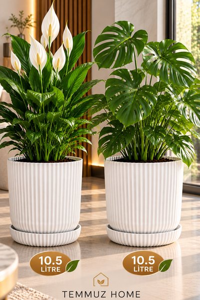 TEMMUZ HOME 2 Adet 10,5 Litre Tabaklı Lotus Dekoratif Çizgili Saksı – Modern Tasarım İç ve Dış Mekân Çiçek ve Bitki Saksısı
