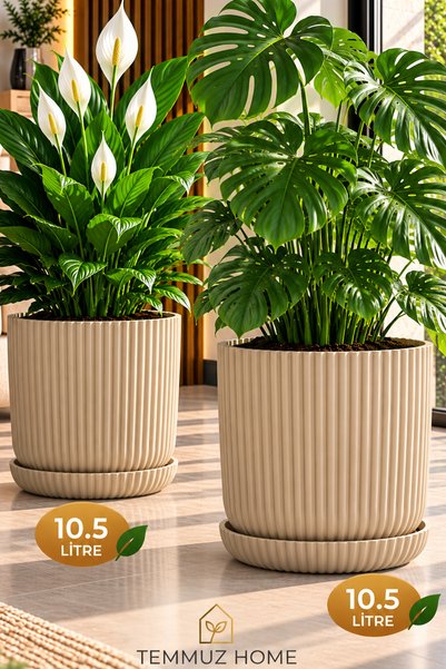 TEMMUZ HOME 2 Adet 10,5 Litre Tabaklı Lotus Dekoratif Çizgili Saksı – Modern Tasarım İç ve Dış Mekân Çiçek ve Bitki Saksısı