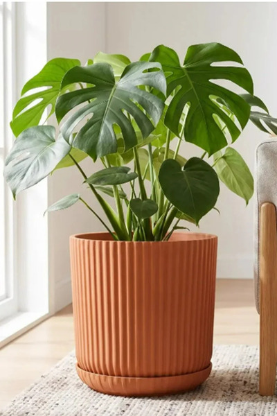 TEMMUZ HOME 2 Adet 10,5 Litre Tabaklı Lotus Dekoratif Çizgili Saksı – Modern Tasarım İç ve Dış Mekân Çiçek ve Bitki Saksısı