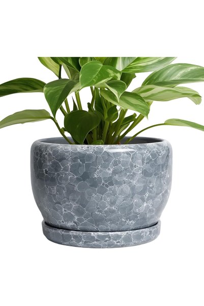Generic 8 inch Plant pots Indoor - Ceramic Planter with Drainage Hole and Pla...