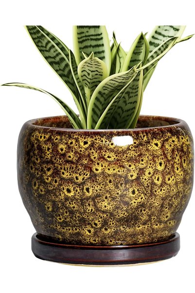 Generic 6 Inch Plant Pot - Ceramic Flower Pots with Drainage Hole and Saucer,...