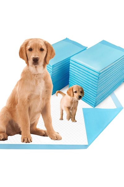 Sumkyle Dog and Puppy Pee Pads, Super Absorbent Pee Pads, Thickened Disposabl...