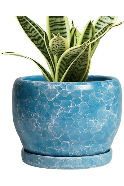 Generic 6 Inch Plant Pot - Ceramic Indoor Planter with Drainage Hole and Sauc...