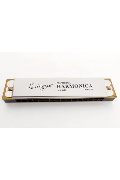 LongMoon LMHM0116 Mızıka 16 Delik Profesyonel Harmonica Kutulu