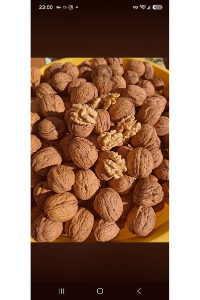Bio Yerli Üretim Chandler Ceviz - İnce Kabuk, %100 Dolu ve Taze Dalından Ceviz (1 KG )