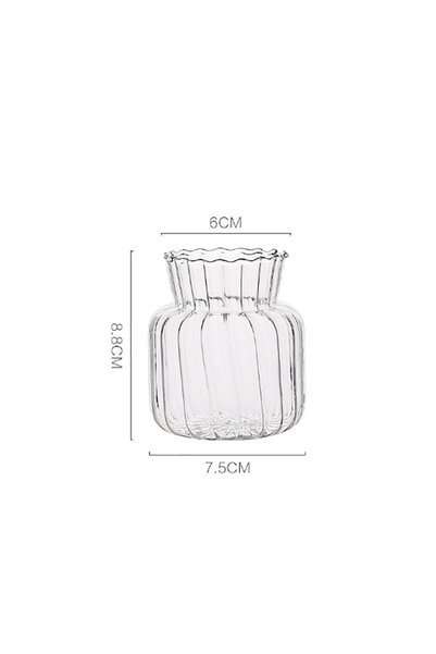 Choice Transparent-S 1pc Nordic Creative Transparent Vases for Plant Bottle F...