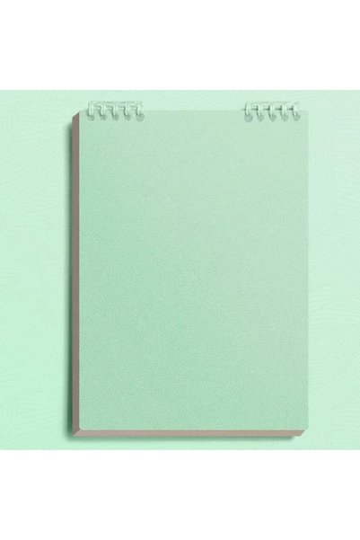 Choice3 A5 light green A5 60 Sheets Planner Thick Notebook Spiral Binding Loo...