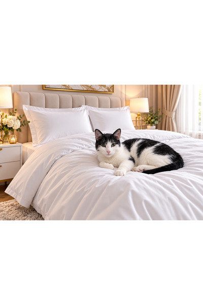 Liz Line Lenjerie pat dublu alb, cearceaf 240x240cm, colectia "Monocrom" din ...