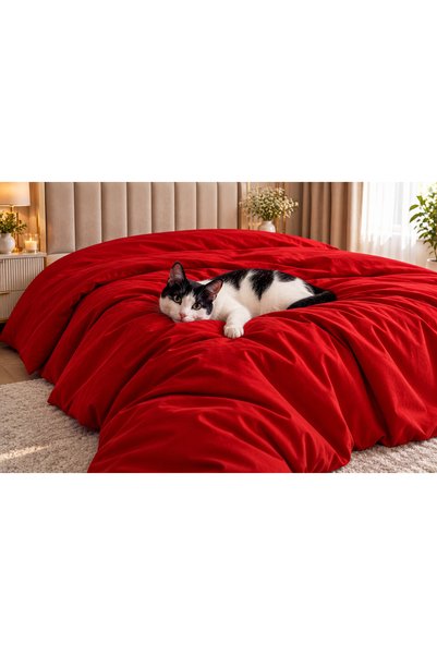 Liz Line Husa pilota, bumbac ranforce, 230x220cm, diverse culori