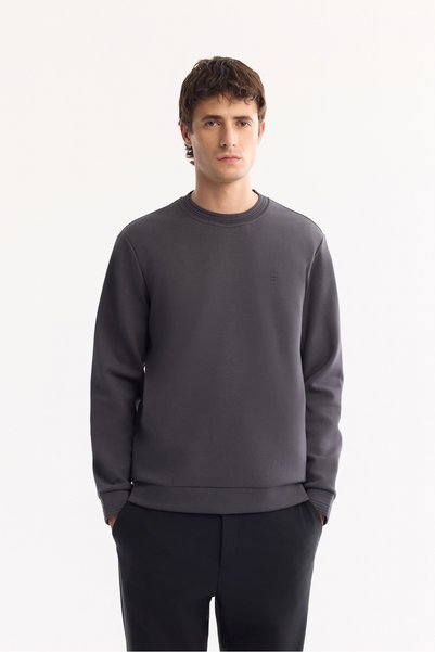 Avva Erkek Antrasit Bisiklet Yaka Pamuklu Bi-Stretch Regular Fit Sweatshirt A...