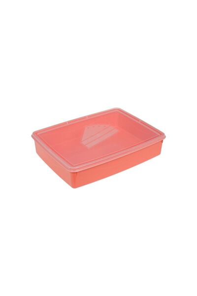 Jumbo Caserola Alimente Dreptunghiulara Corai cu Capac Transparent 4.2L