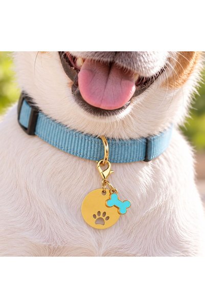 OEM Round Gilded Turquoise Pendant with Pet Bone Ø2.5cm