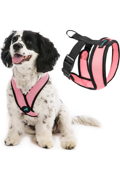 Generic - Comfort X Head-In Harness, Choke Free Small Dog Harness with Micro ...