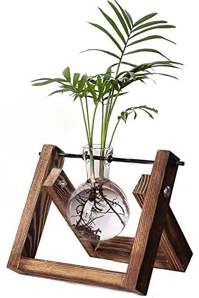 Generic Plant Propagation Station Air Plant Terrarium Bulb Vase with Wooden S...