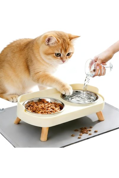 Generic Elevated Cat Bowls with Waterproof Food Mat, 2 Stainless Steel Cat Fo...