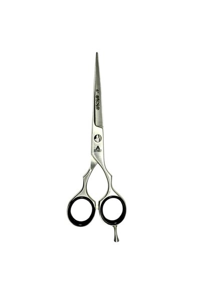A&A AA-BS01 6″