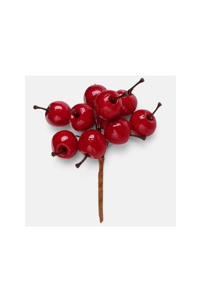 Jumbo DIS BERRIES CRA TULP SCURTA MAR ROS