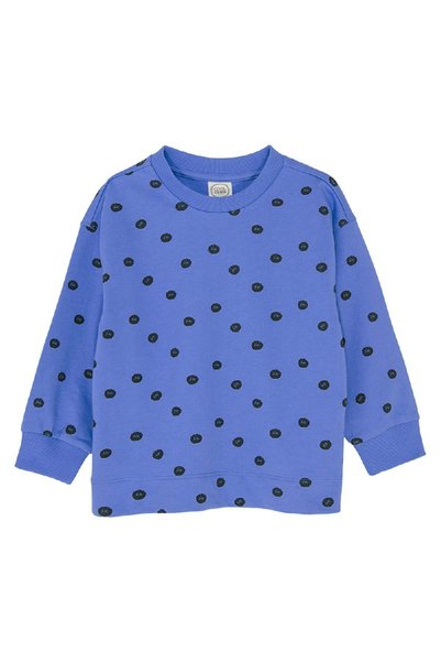 Evendi Bluza, Albastru