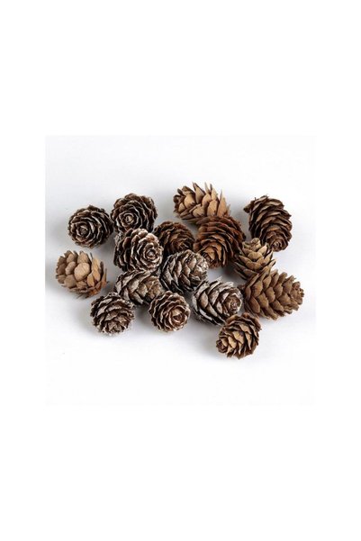 Jumbo Set Conuri Decorative Ninse de Craciun 2cm - 16buc