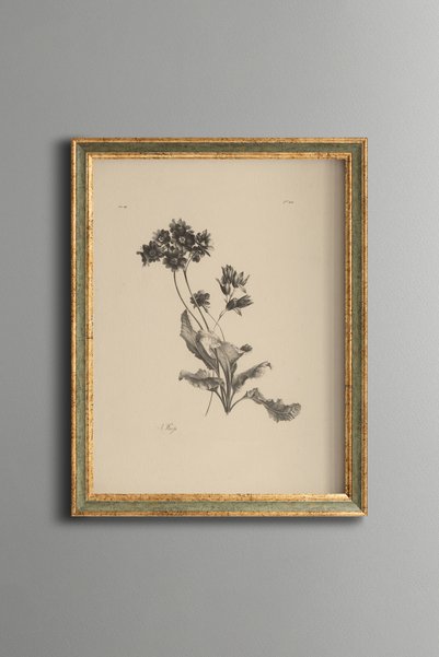 epiqart رسم زهرة البراري - لوحة فنية بنمط عتيق - تصميم أنيق
