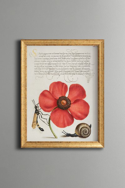 epiqart Poppy, Snail, and Fly - Vintage-Patterned Painting - Slim Design