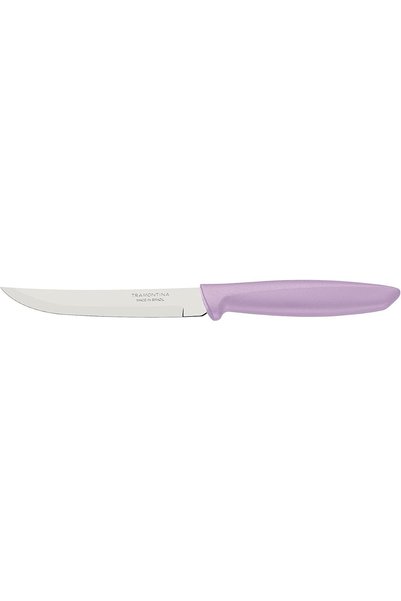 Generic Plenus 5 Inches Fruit Knife with Stainless Steel Blade and Purple Pol...