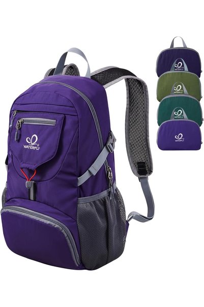 Generic Small Lightweight Packable Backpack: 20l Ultra Light Foldable Travel ...