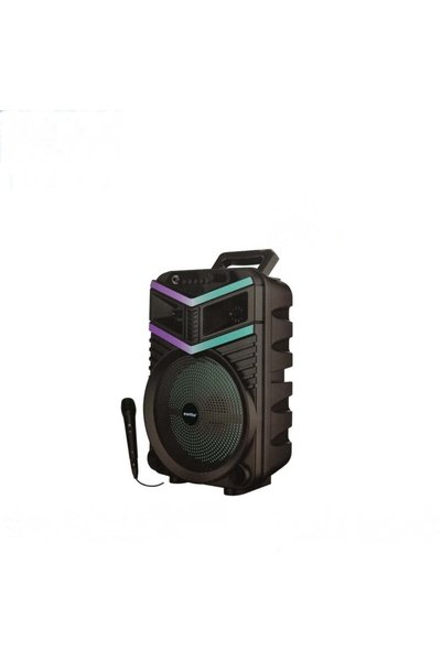 FOXMAG24 Portable Bluetooth Speaker, 10W, RGB Lights, Handle, Karaoke, Black