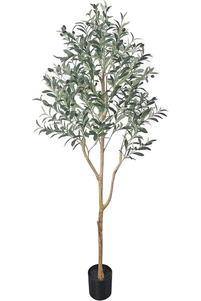 Generic Artificial Olive Tree, 5FT (150CM) Tall Olive Tree with Olive Branche...