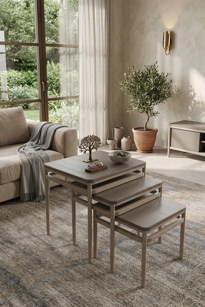 Wood House MERCAN ZİGON SEHPA (capuccino-mocha)