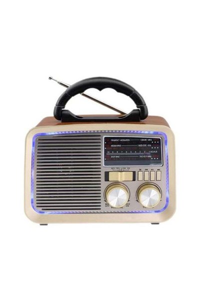 OASIS DESERT USB Mini Radio | High-Fidelity Speaker With Bluetooth And Disco ...