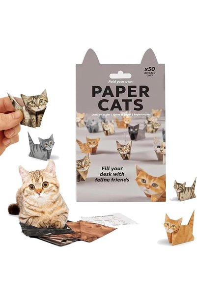 KASTWAVE Origami Paper Cats DIY Kit, 50 Sheets Pre Cut Foldable Paper for Cut...