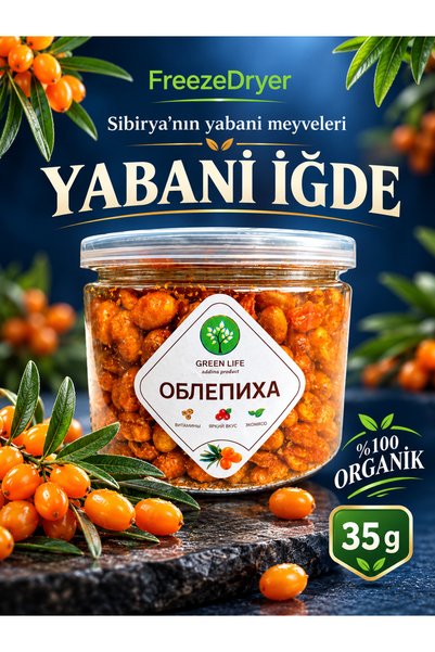 Tianshan dağları Yabani İğde Kurutulmuş meyvesi 35 gr .(Freeze Deryer)