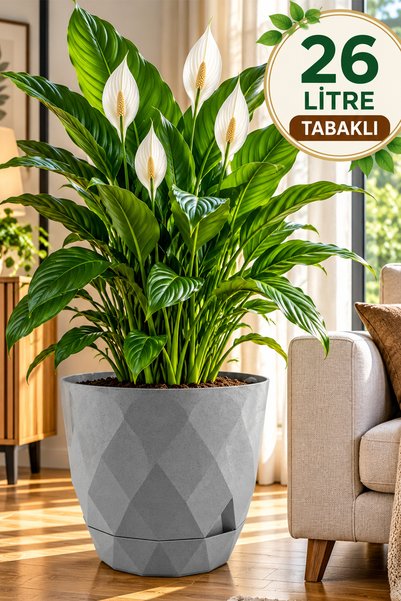 TEMMUZ HOME 26 Litre Prizma Desenli Dekoratif Büyük Boy Tabaklı Plastik Yakam...