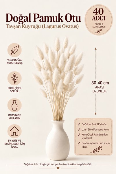 Rosess Pamuk Otu Tavşan Kuyruğu Lagurus Ovatus Doğal Kurutulmuş Dekoratif Kur...