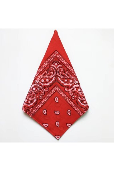 Choice5 4 1/3Pcs Fashion Hip Hop 100% Cotton Bandana Square Scarf 55cm*55cm B...