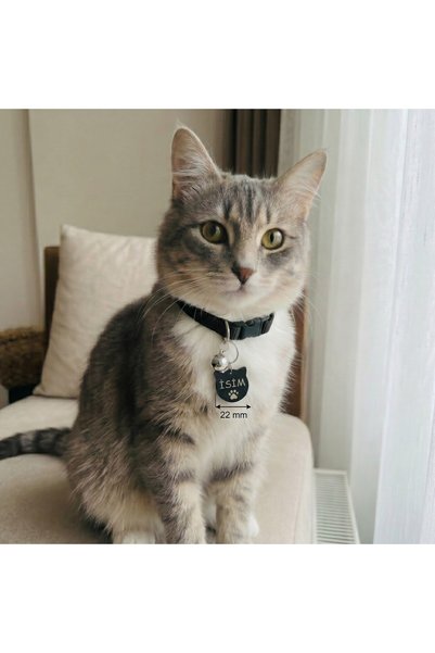 hebmeyy Kedi Tasması, Isimlikli Kedi Tasma, Kişiye Özel Kedi Tasması, Kedi Ta...