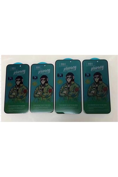 OEM Privacy Tempered Glass 99H IPHONE 16