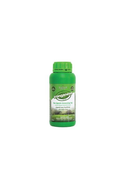 Desert Energy Ironganese - 500 ml