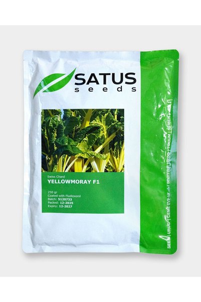 NO BRAND Satus Seeds Mangold Yellowmoray F1 (Yellow)– 250g