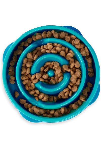 Generic وعاء تغذية بطيء للكلاب من Fun Feeder، مقاس متوسط/صغير، لون فيروزي