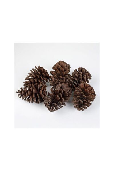 Jumbo Set Conuri Decorative Mari de Culoare Naturala 13-15cm - 6buc