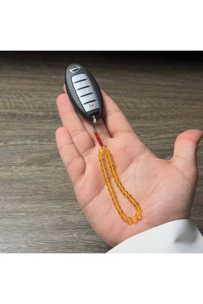 OEMS ميدالية كهرمان
