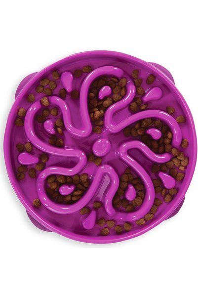 Generic Fun Feeder Slo-Bowl Healthy Slow Feeding Dog Bowl, Large, Purple
